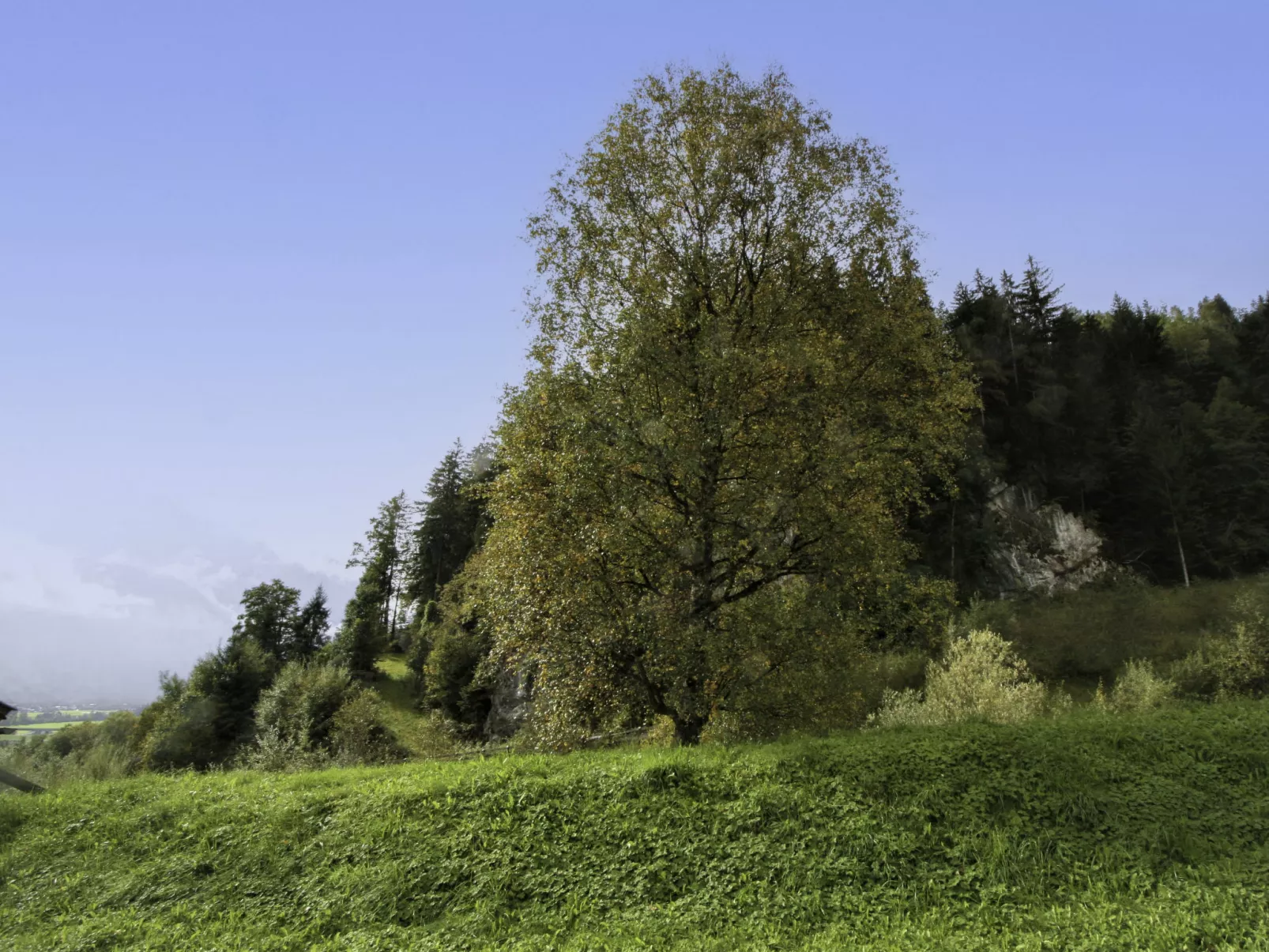 Ratschnhof-Outside