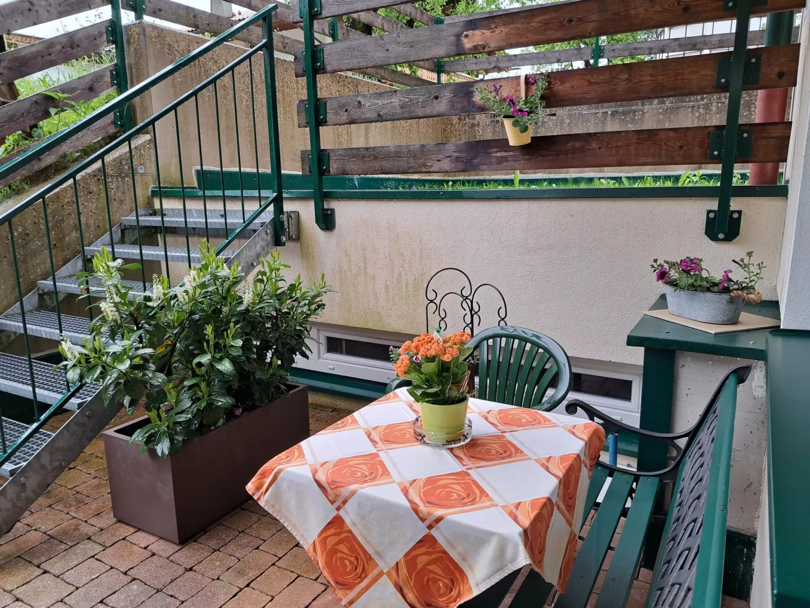 Rosa-Outside