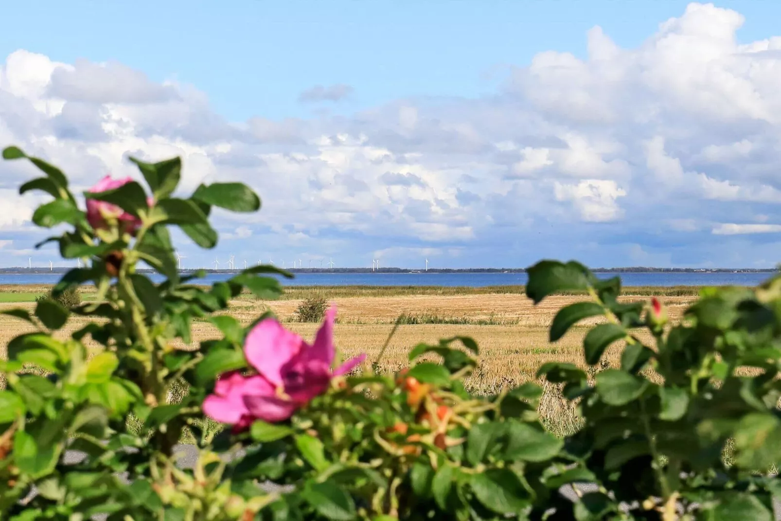 5 person holiday home in Ulfborg-Water view