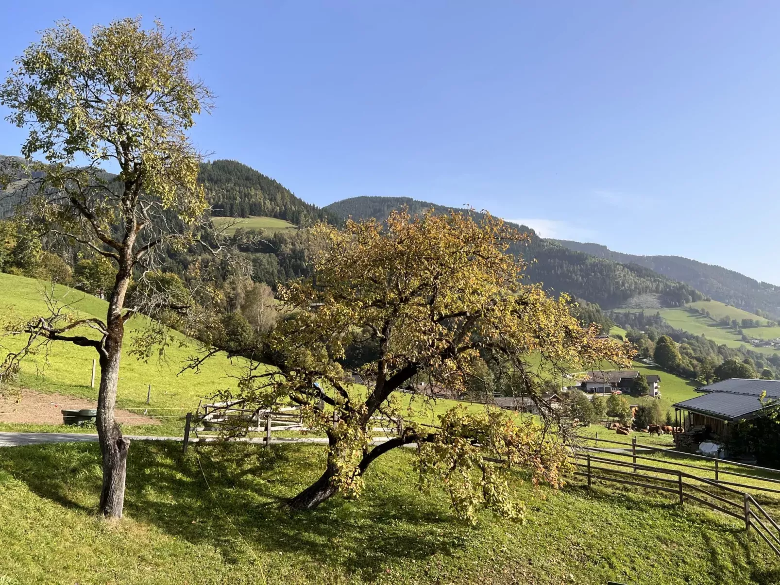Bauernhof Gasteg-Outside