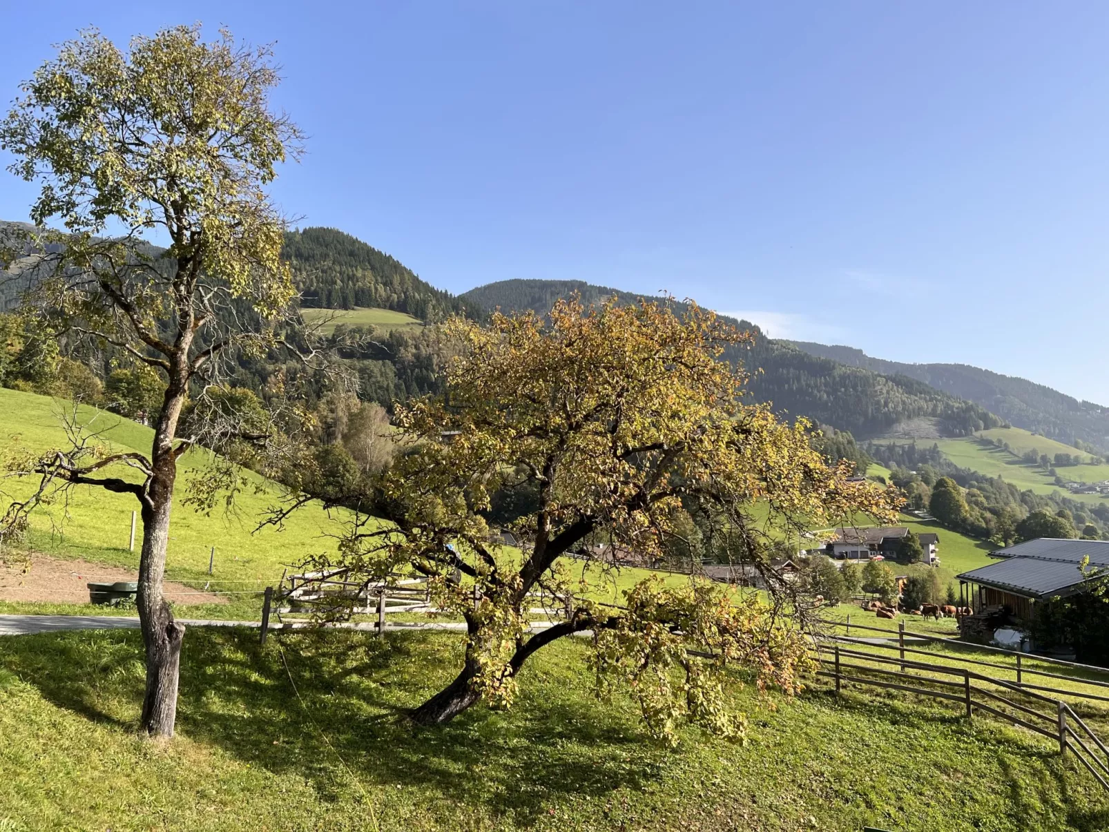 Bauernhof Gasteg (PID230)-Outside