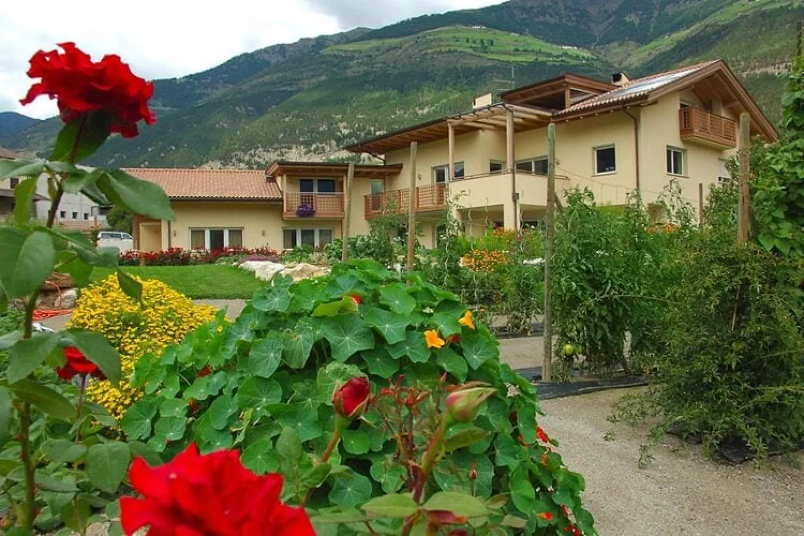 Residence Neuhof -Typ Grün-Exterior summer