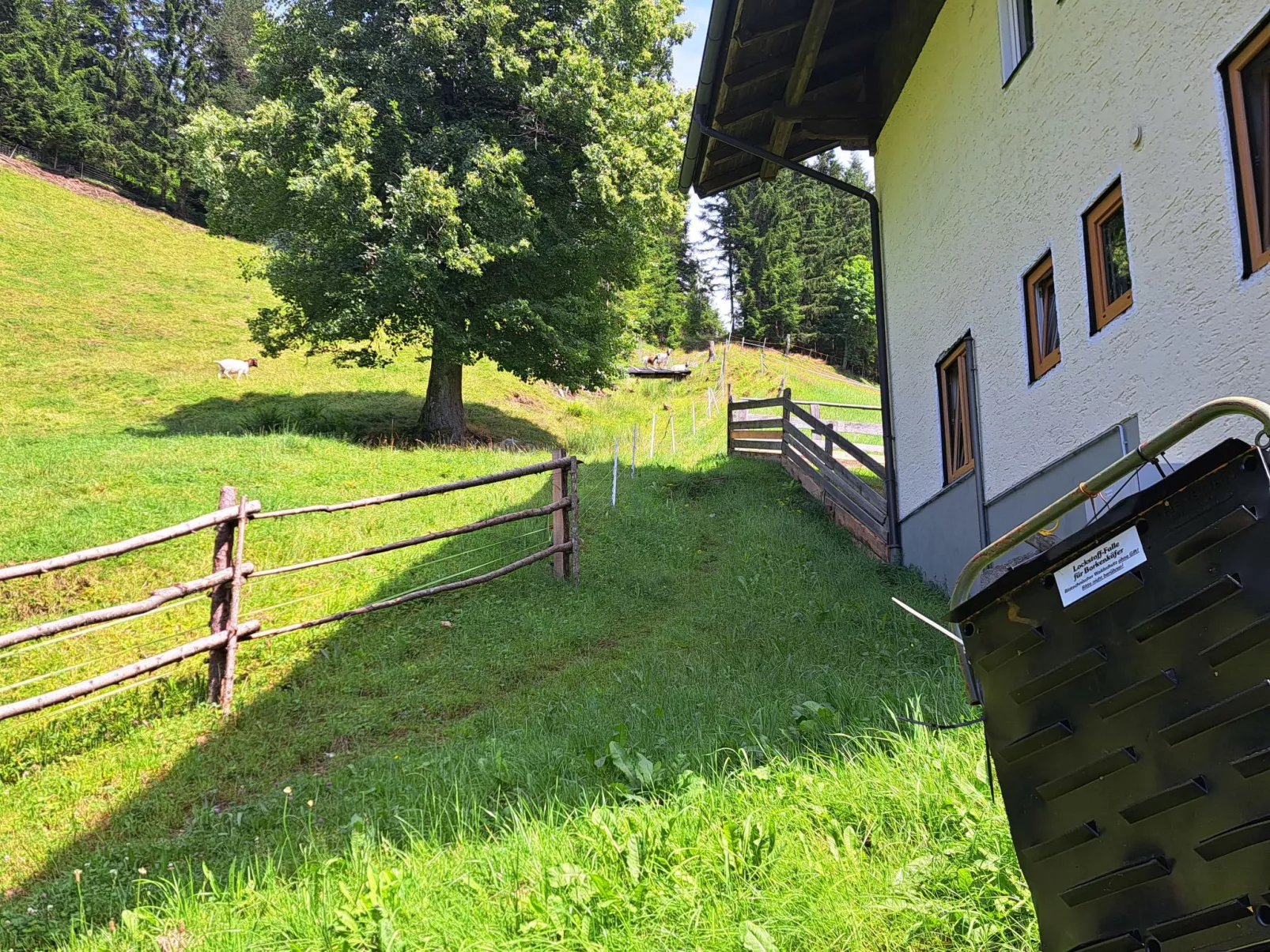 Dachstein-Outside