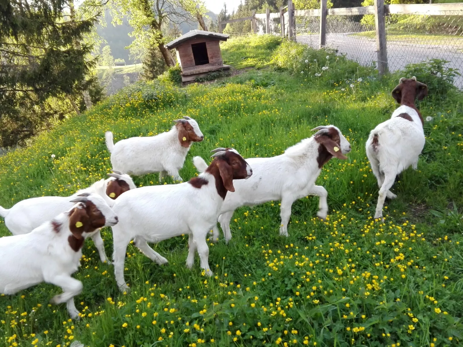 Bischofsmütze-Outside