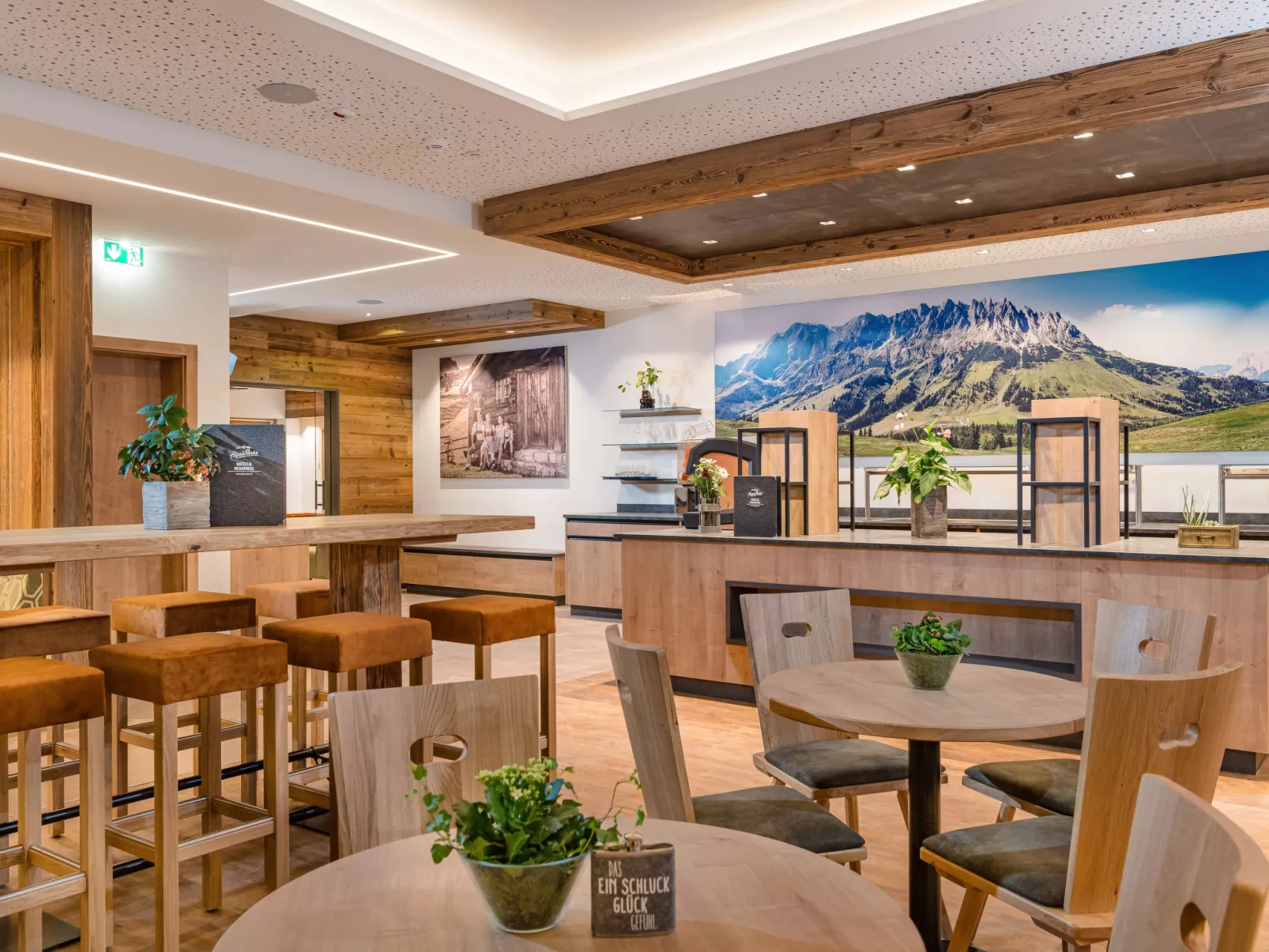 Superior Alpine-Inside