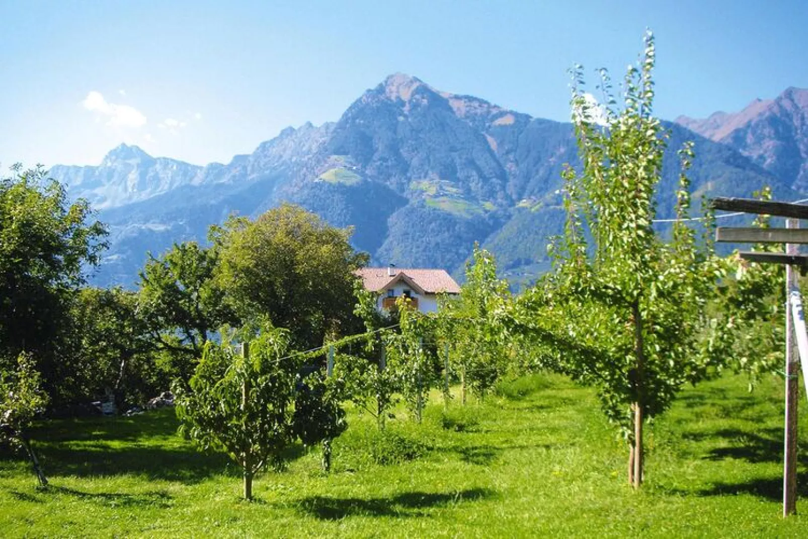 Apartments Etschland - Typ 3-View summer