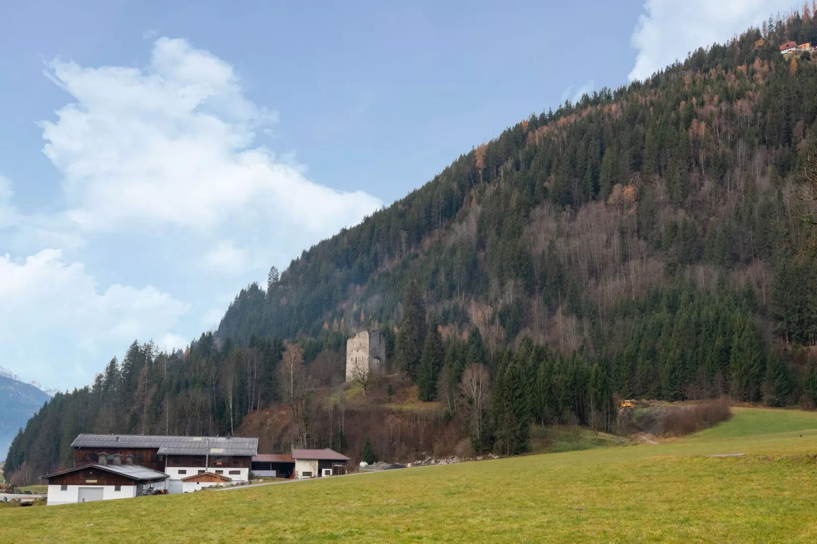 Appartement Zillertal Alpen C-Areas summer 5km