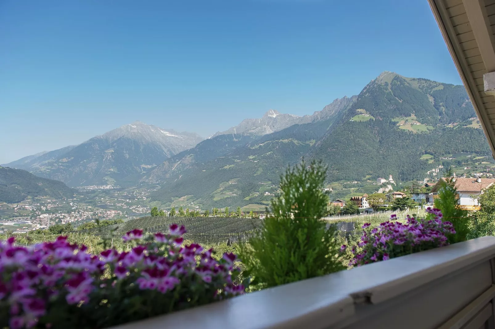 Apartments Etschland -Trilo-View summer