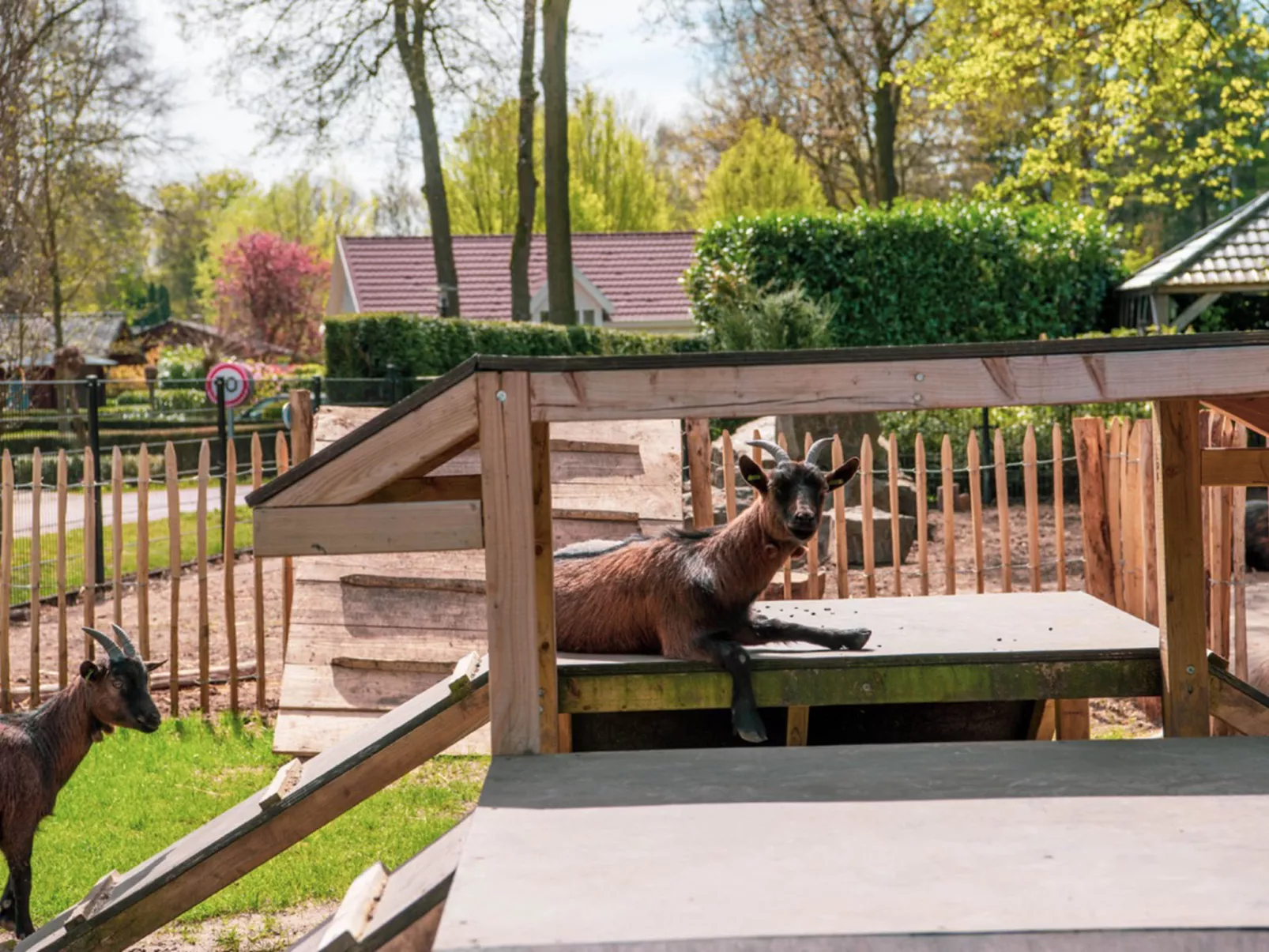 Boekhorst l'etage 12-Drinnen