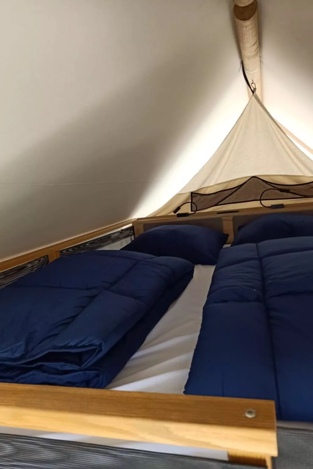 Glampingtent Papilio 4-Inside
