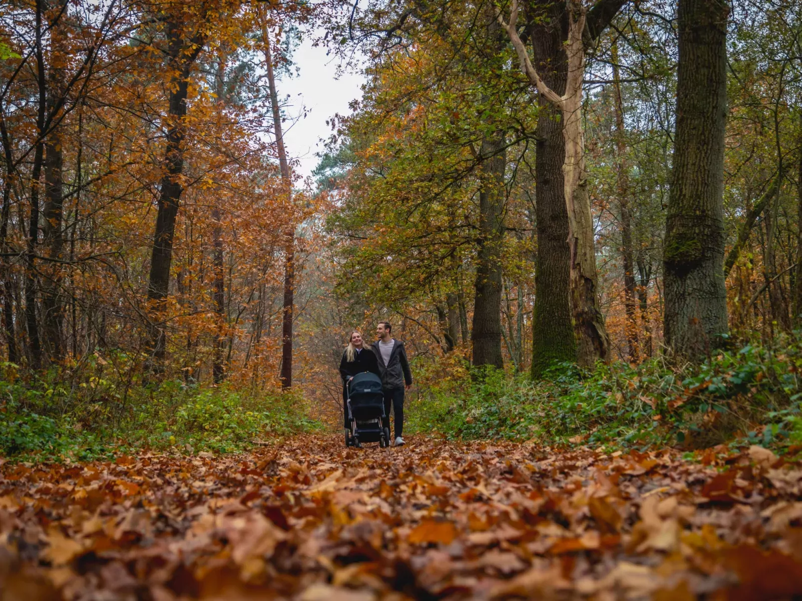 Villa Veluwe 6-Draußen