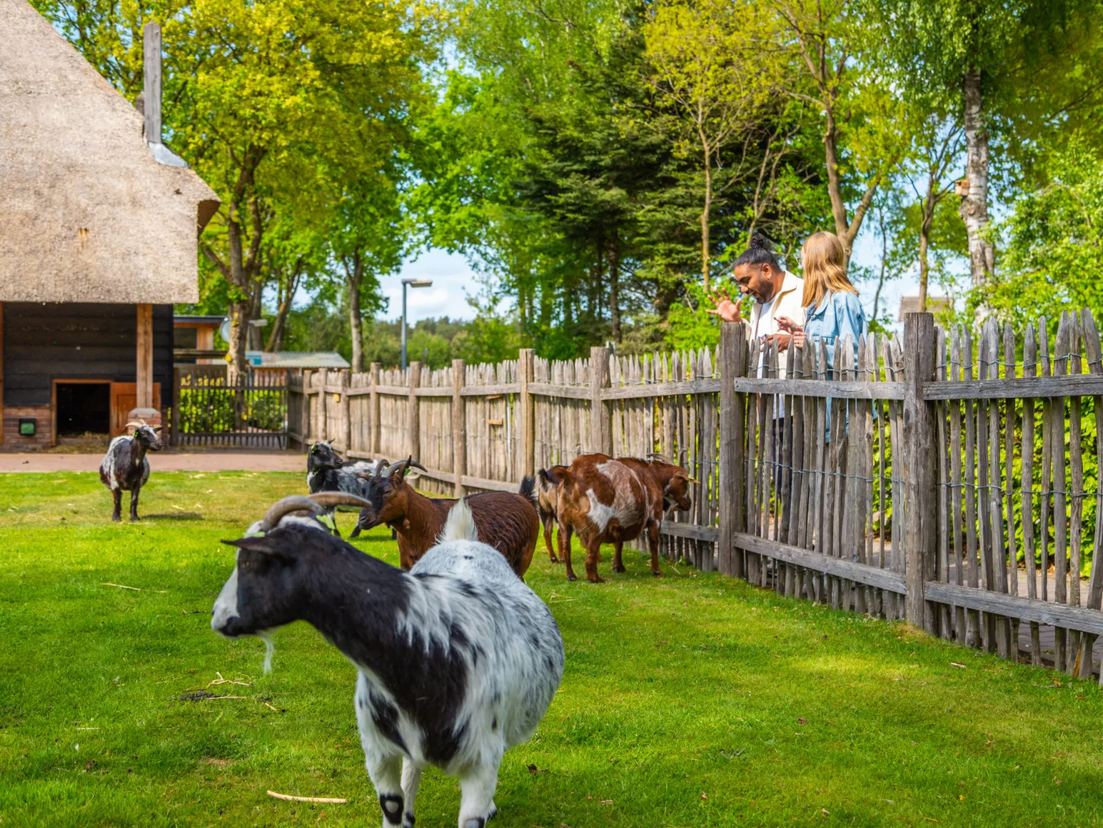 EuroParcs De Wije Werelt-Outside