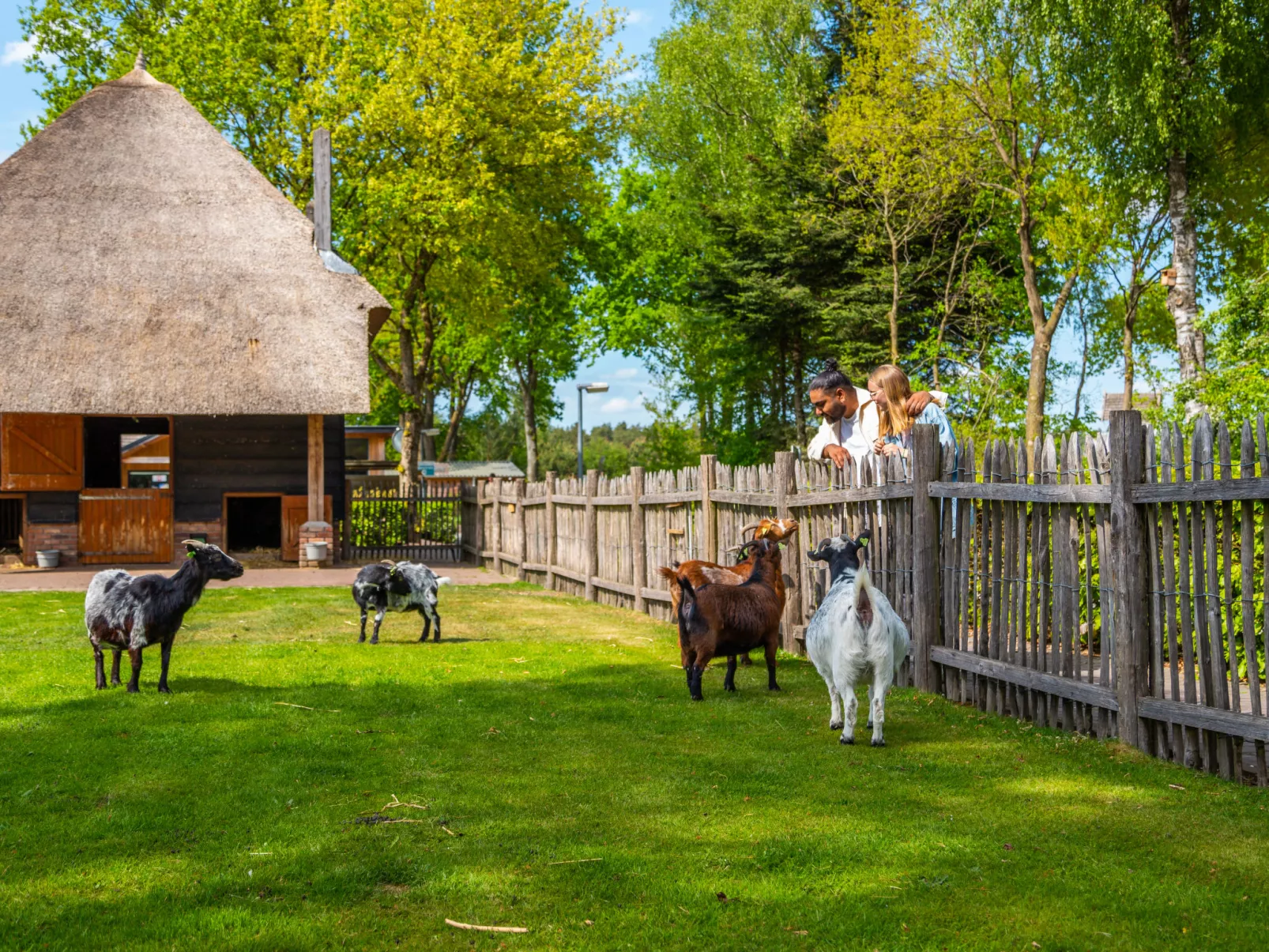EuroParcs De Wije Werelt-Area