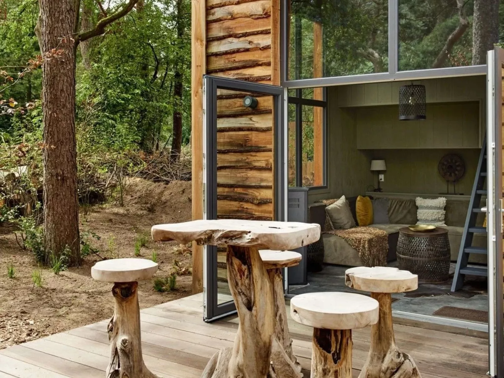 Tiny House 4-Outside