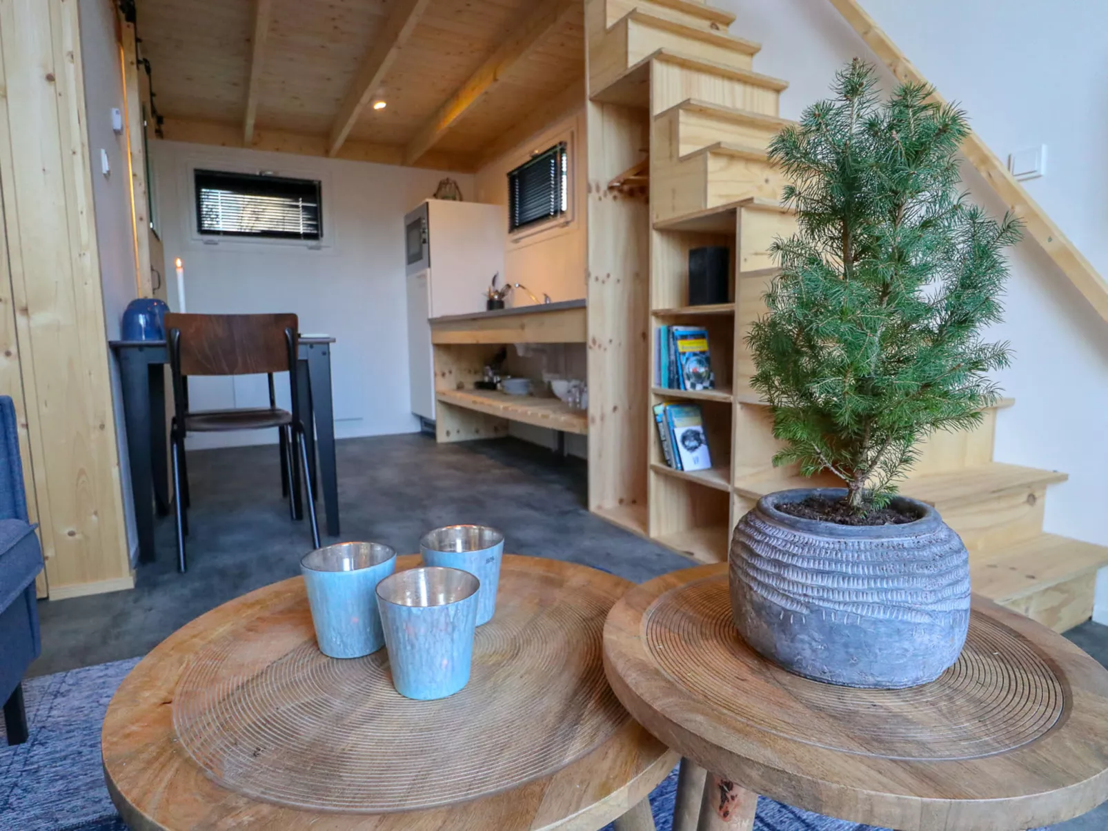 Tiny House 2-Inside