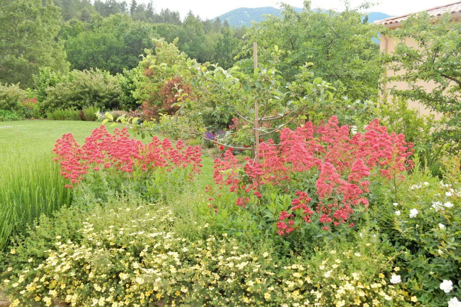 Studio - MONTBRUN-LES-BAINS-Gardens summer