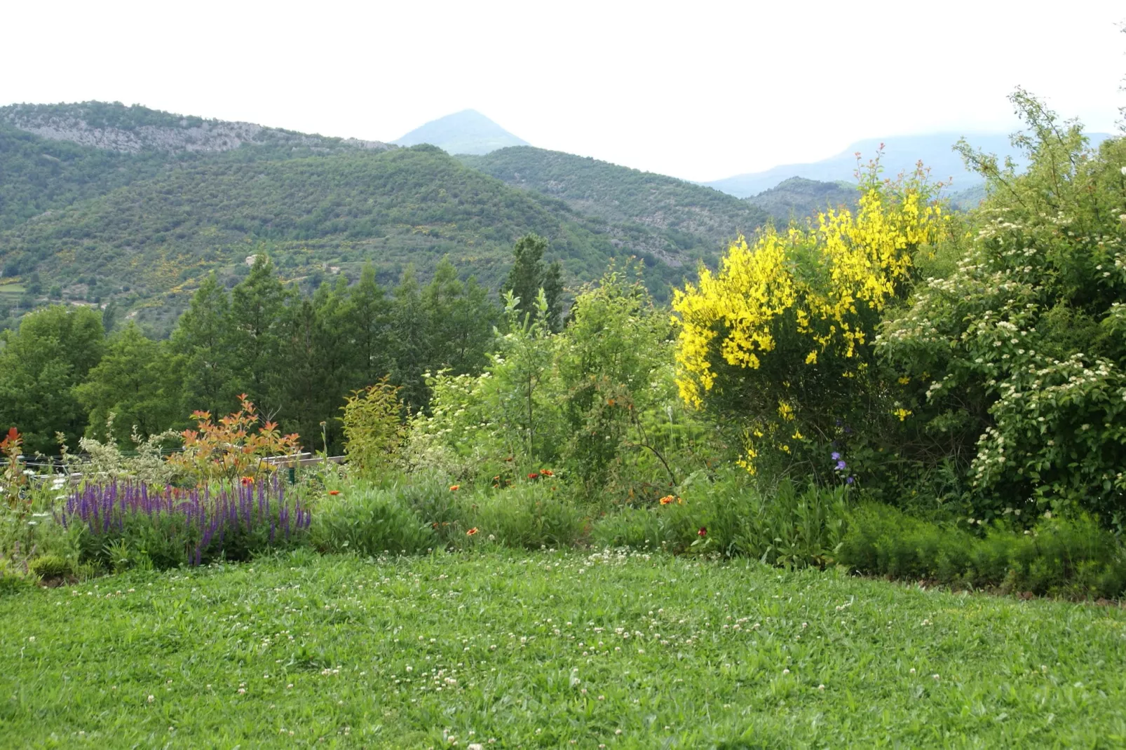 Studio - MONTBRUN-LES-BAINS-Gardens summer