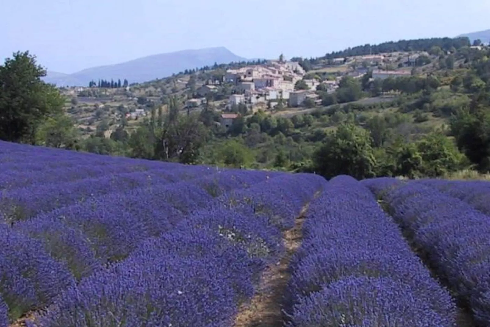 Studio - MONTBRUN-LES-BAINS-Areas summer 1km