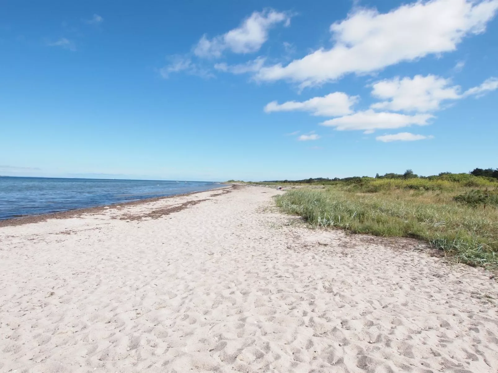 "Elisej" - 100m from the sea-Outside