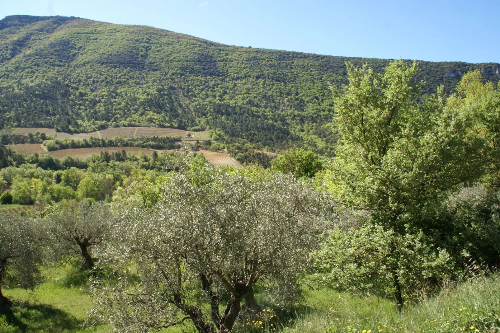 Studio - MONTBRUN-LES-BAINS-Areas summer 5km