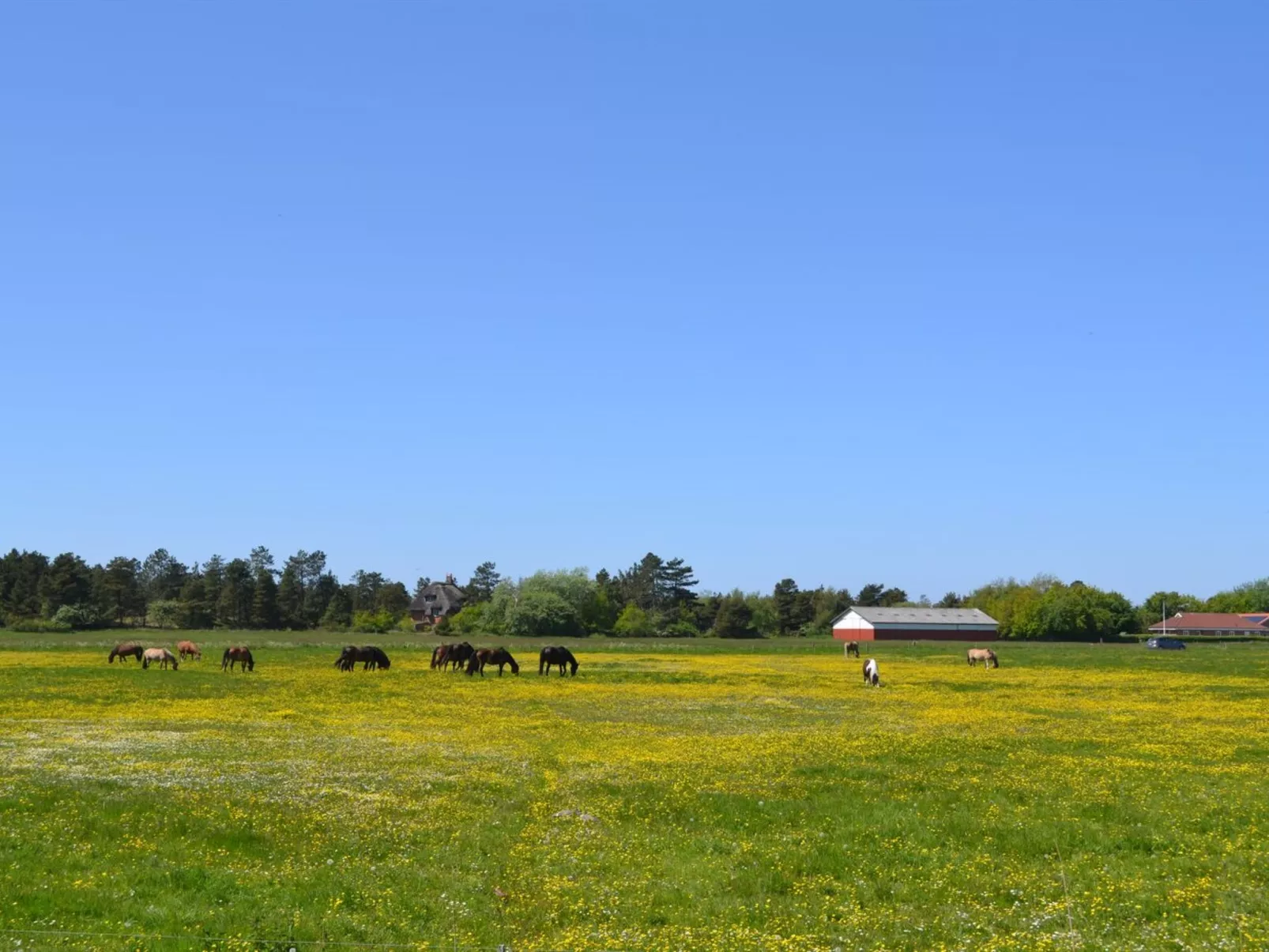 "Withulf" - 2.3km from the sea-Outside