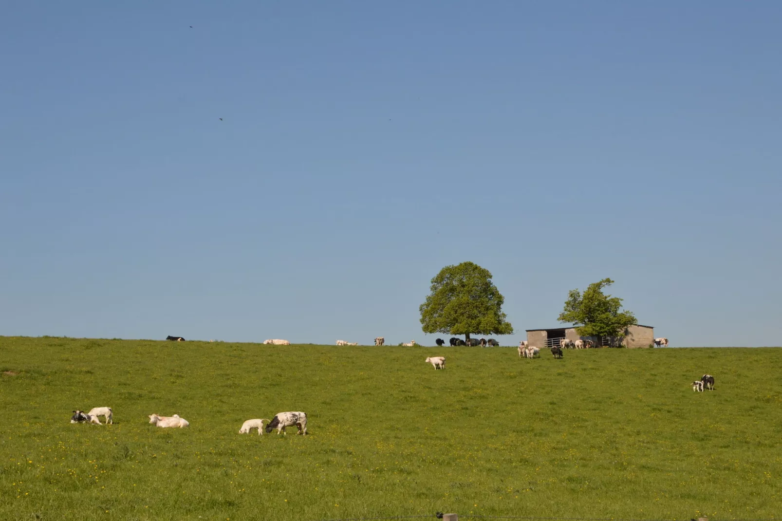 La Madeleine-Gebiete Sommer 1 km