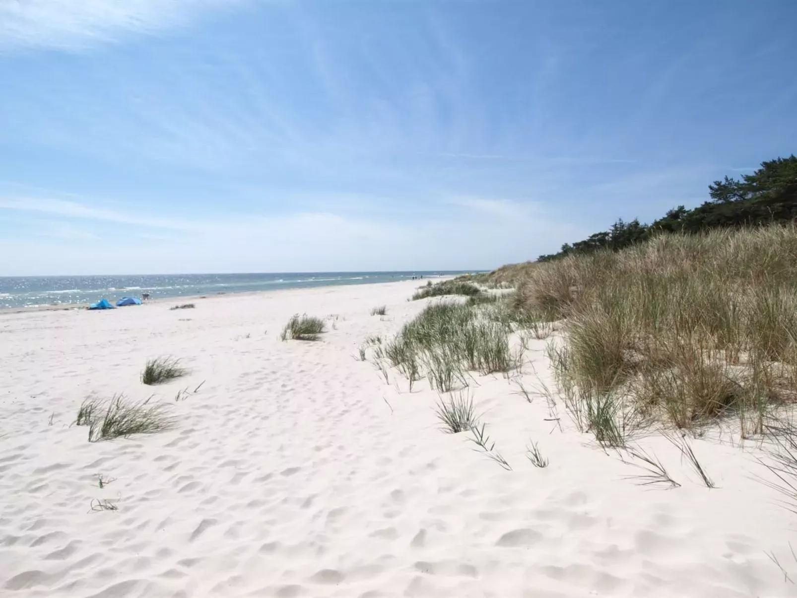 "Eftim" - 600m from the sea-Outside