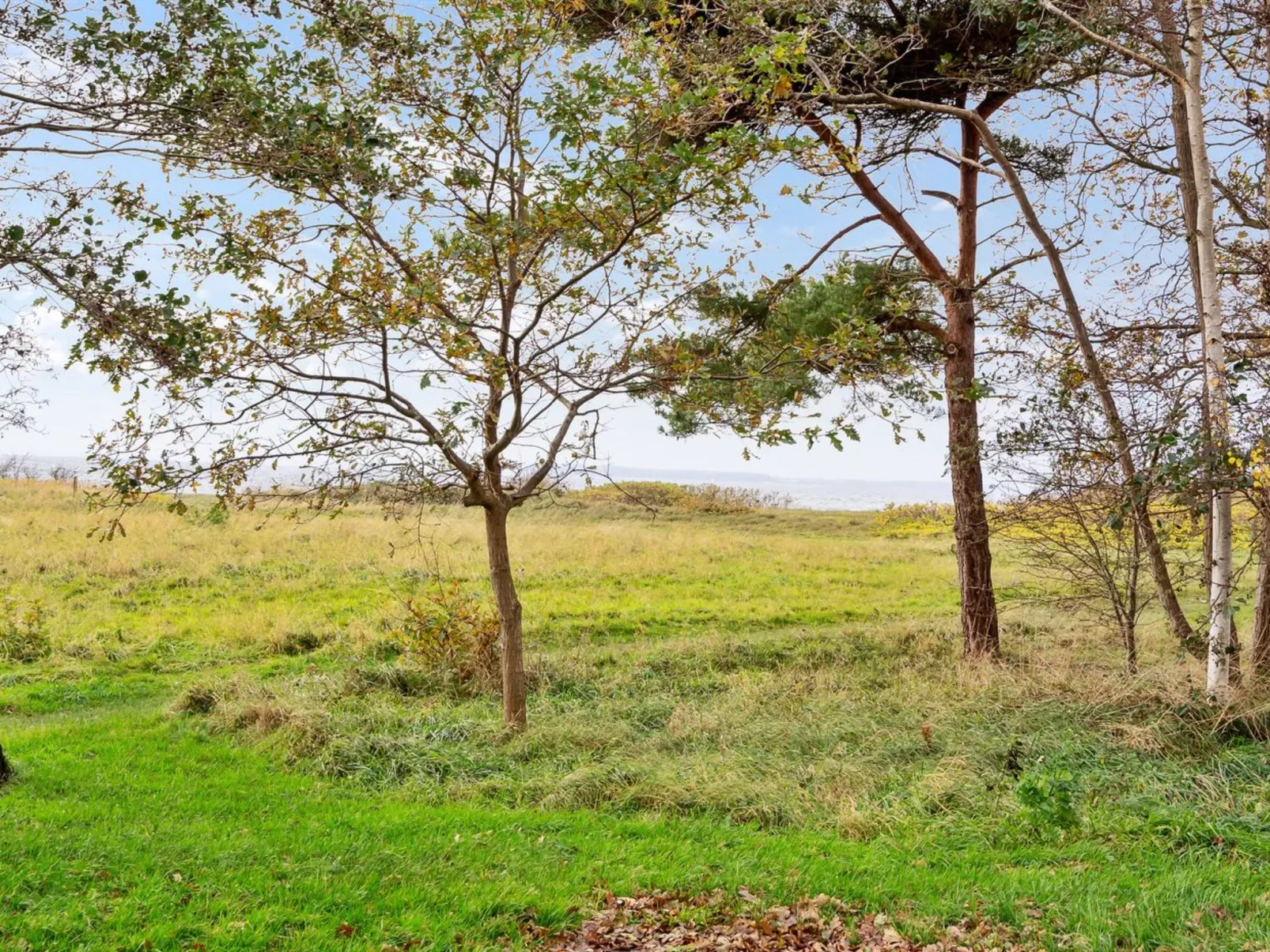 "Thara" - 100m from the sea-Outside