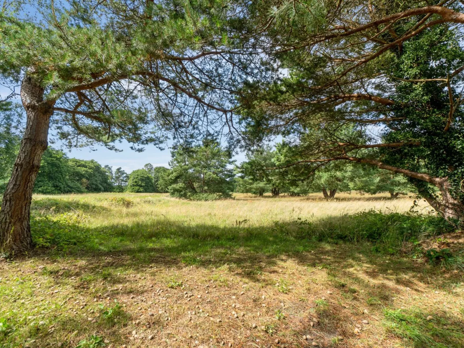 "Hillmari" - 650m from the sea-Outside