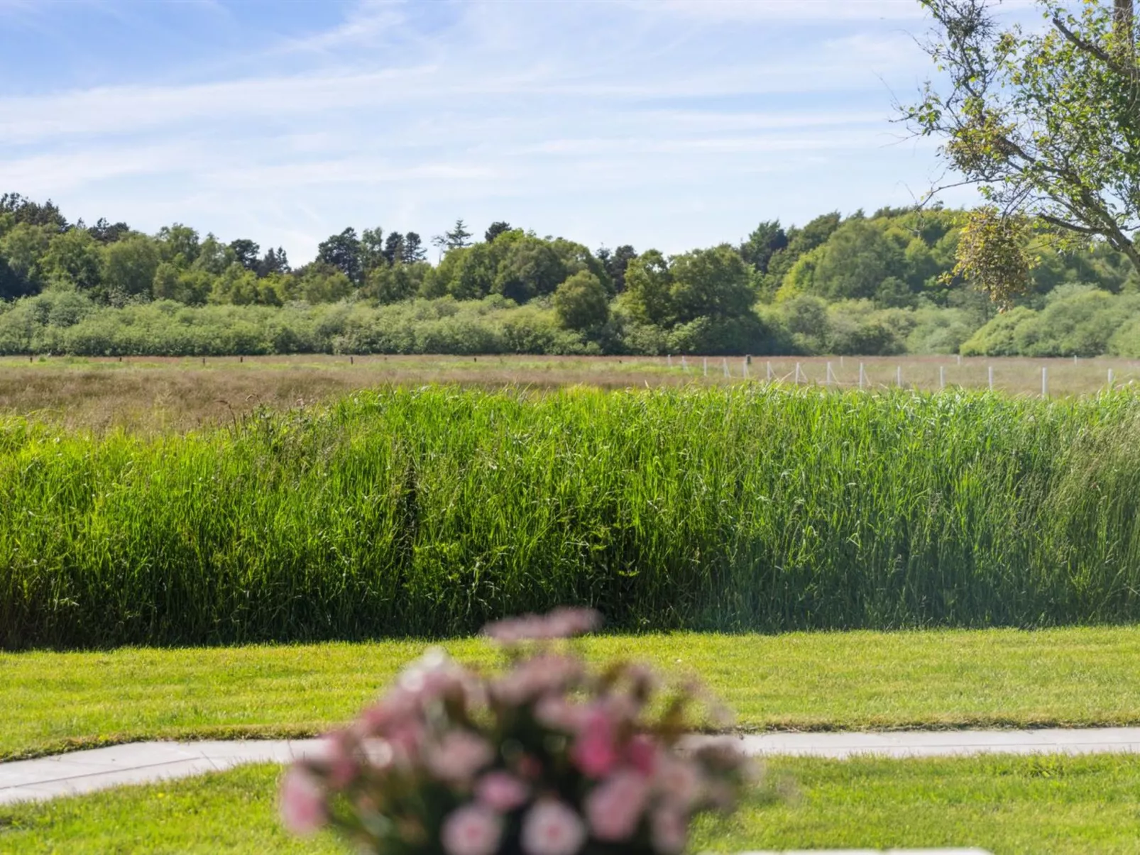 "Blondine" - 1.4km from the sea-Draußen