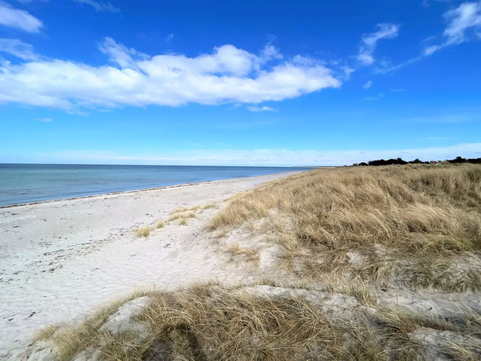 "Miljanka" - 175m from the sea-Outside