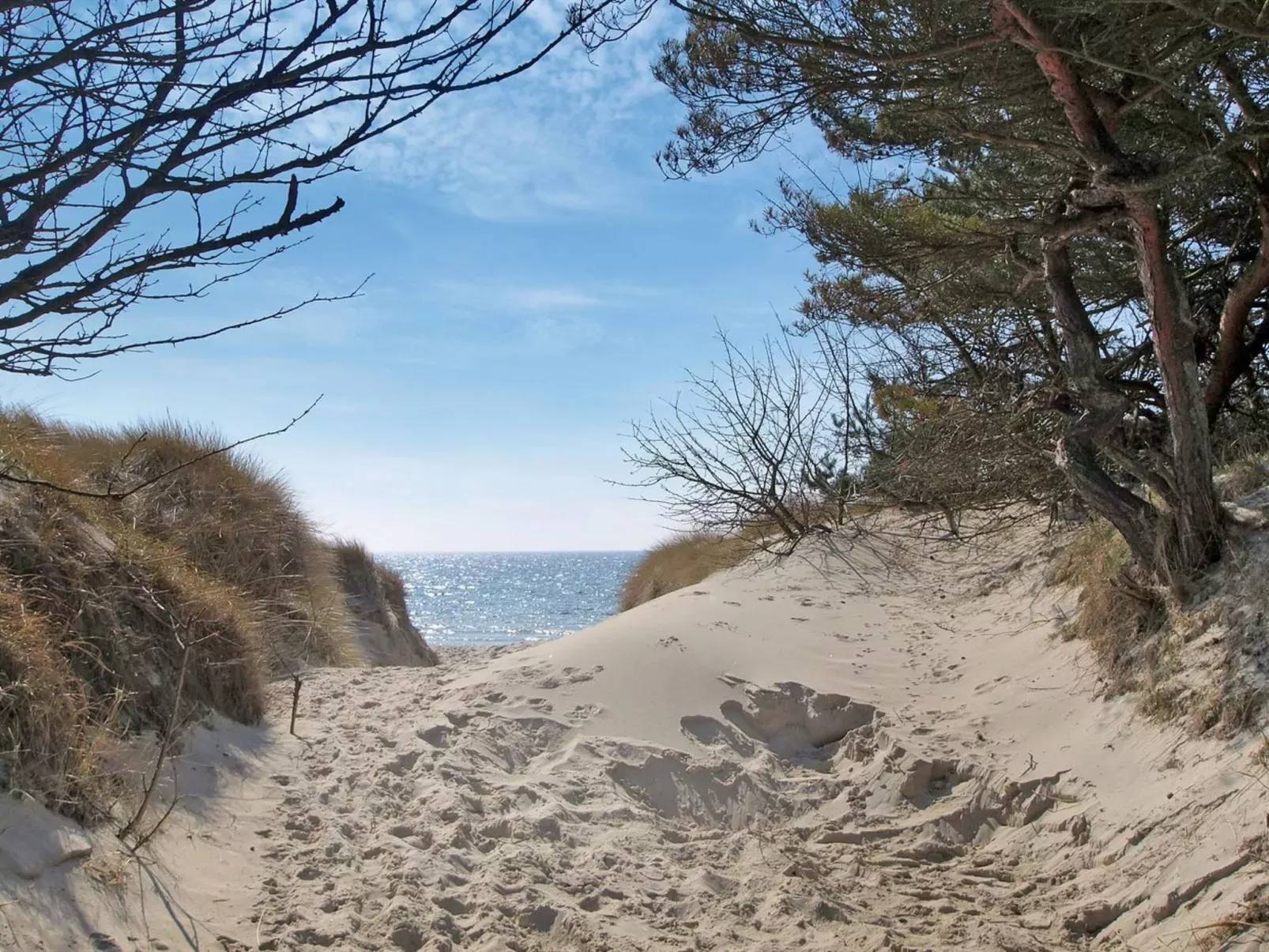 "Olla" - 400m from the sea-Outside
