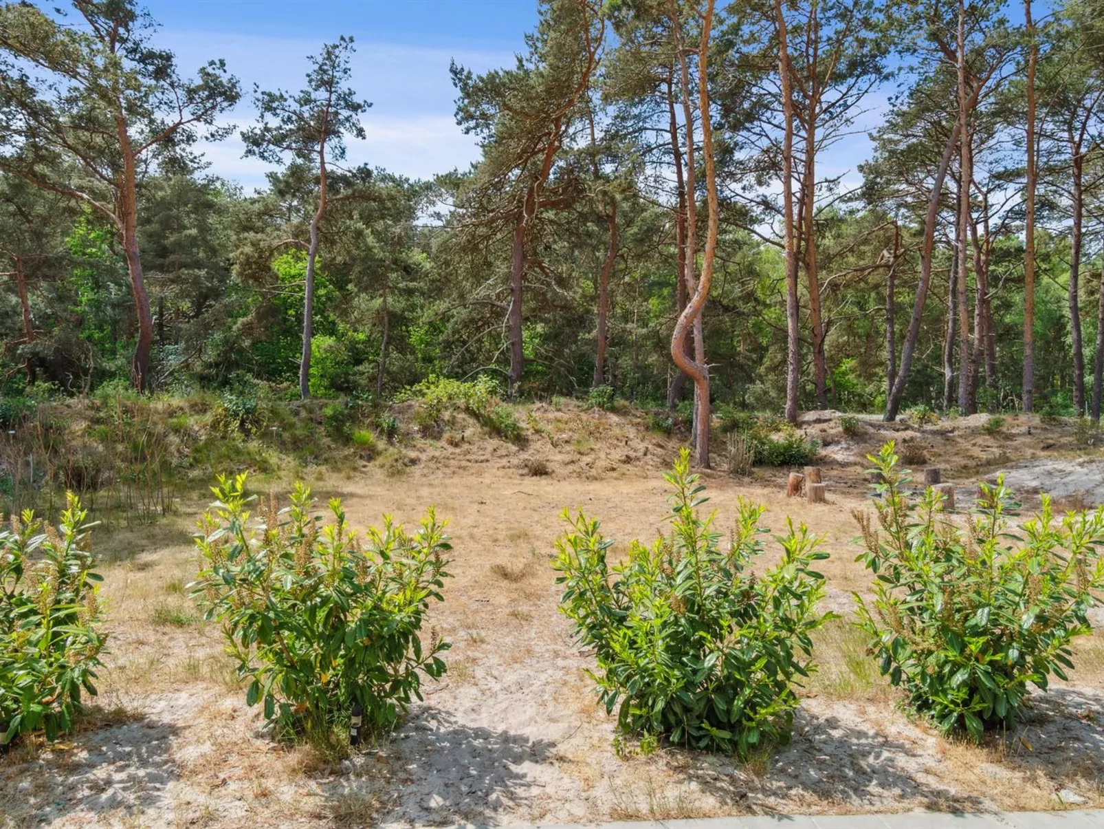 "Sjo" - 300m from the sea-Outside