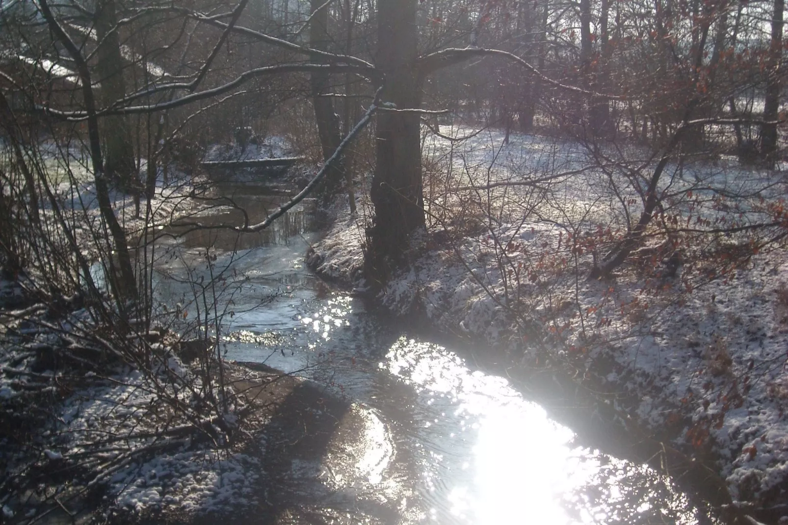 Masblette-Area winter 5km