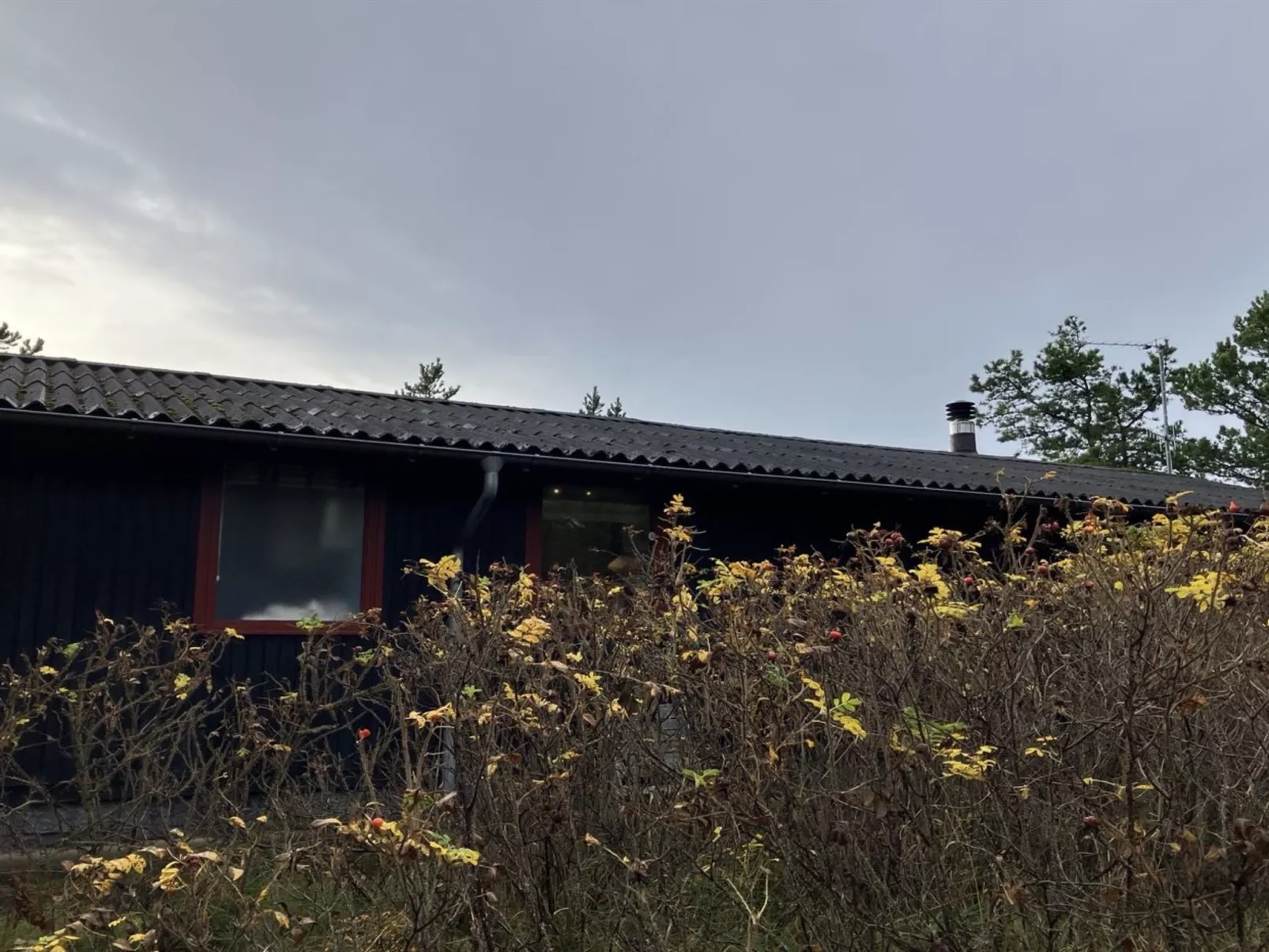 "Vemund" - 300m from the sea-Outside