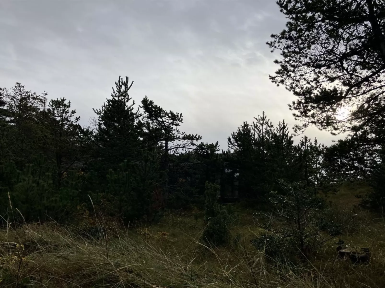 "Vemund" - 300m from the sea-Outside