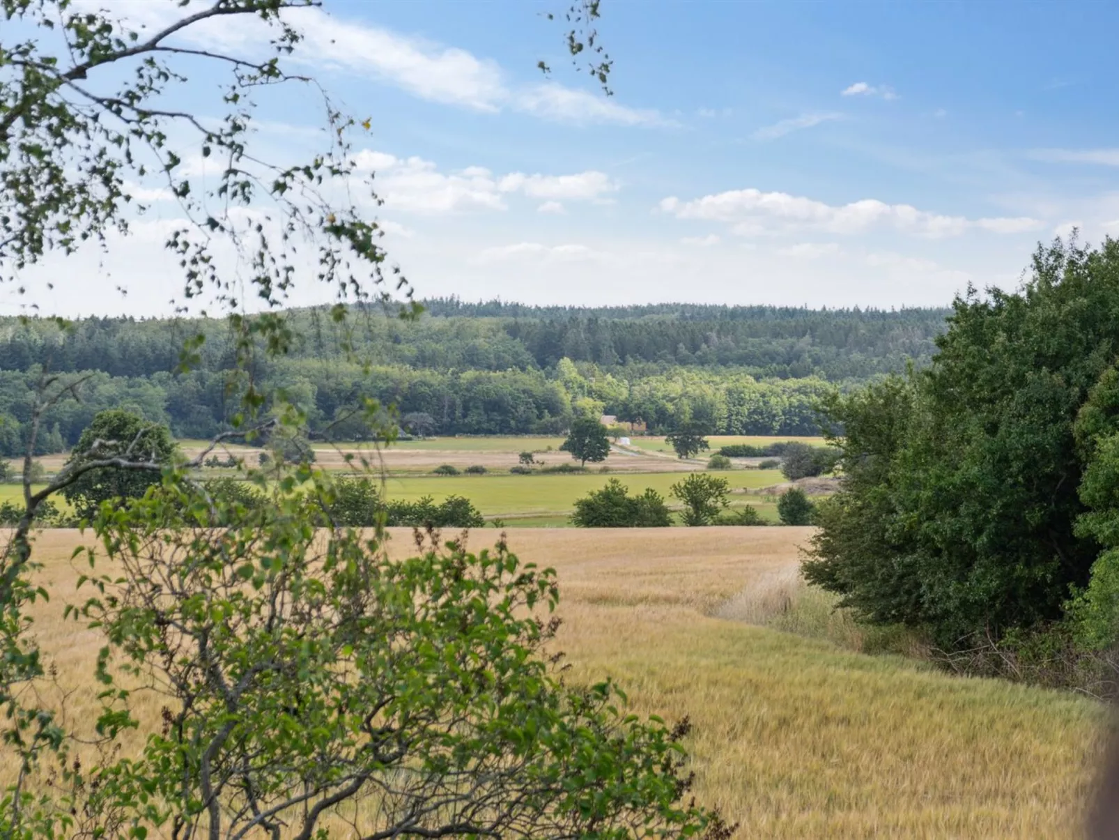 "Hansen" - 5.2km from the sea-Outside