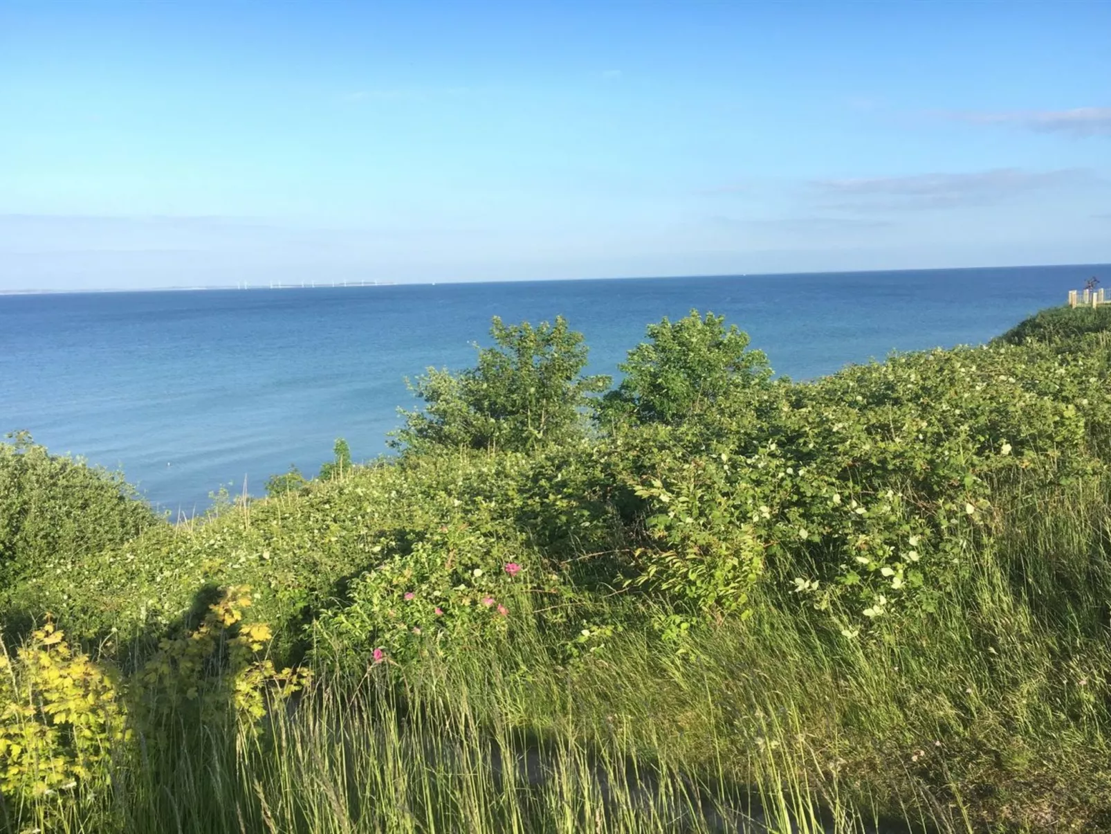 "Rikus" - 300m from the sea-Outside