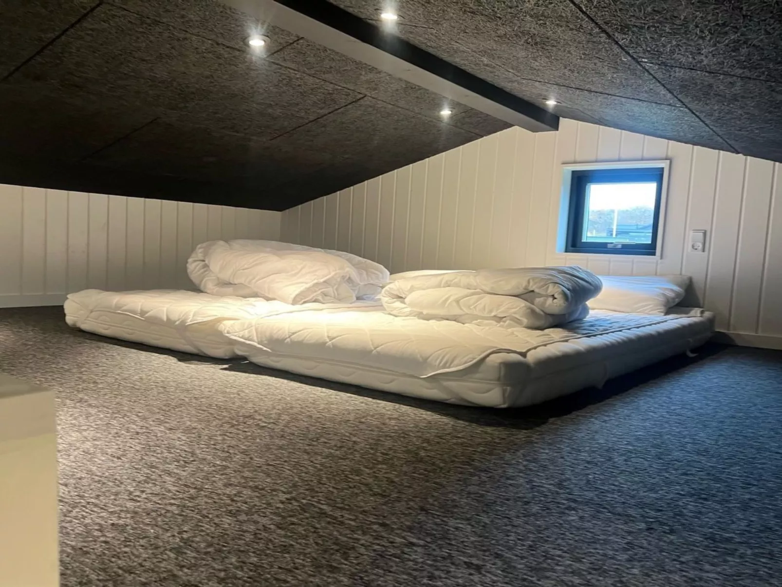 "Jul" - 300m from the sea-Inside