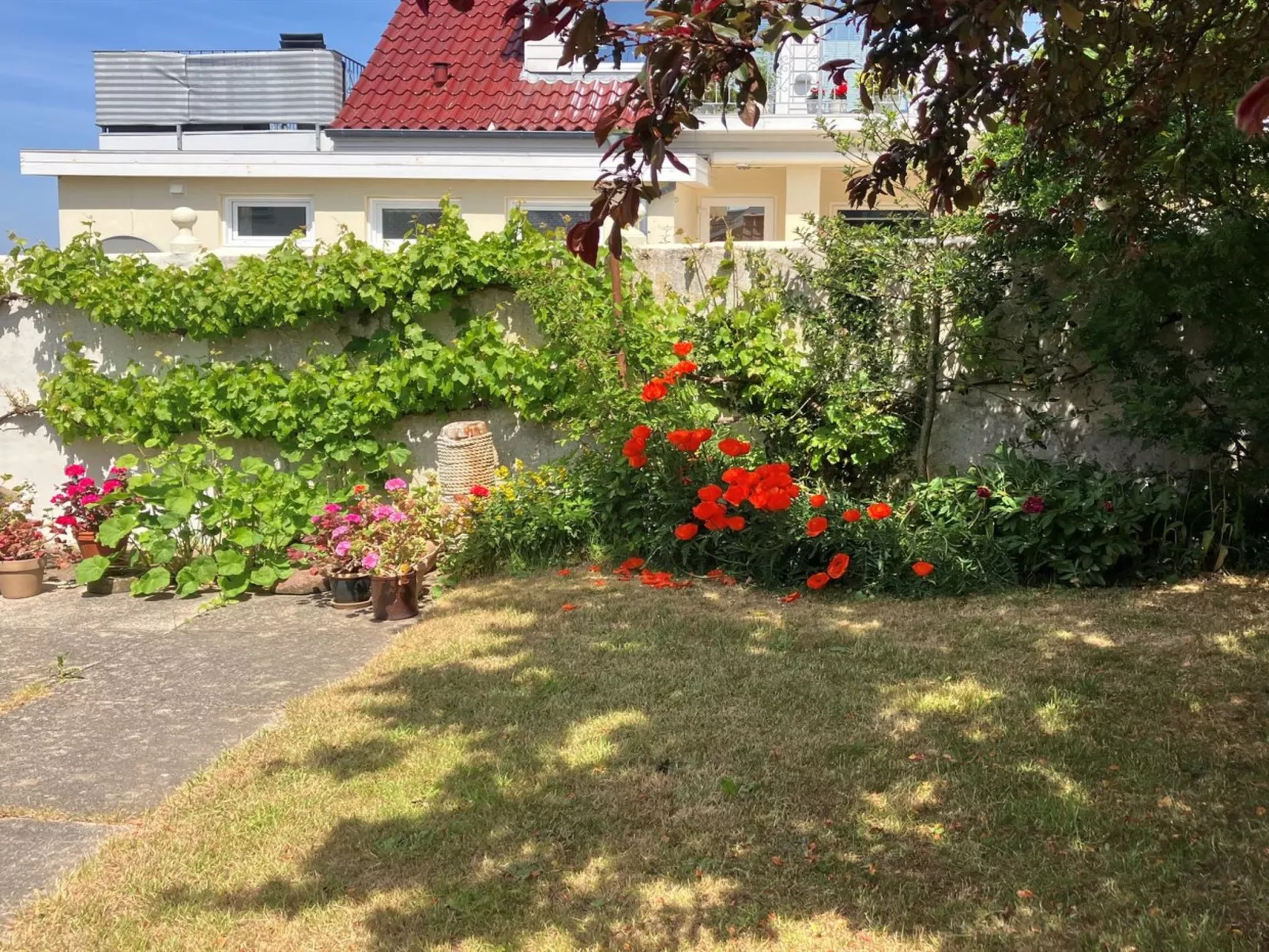 "Merete" - 50m from the sea-Outside