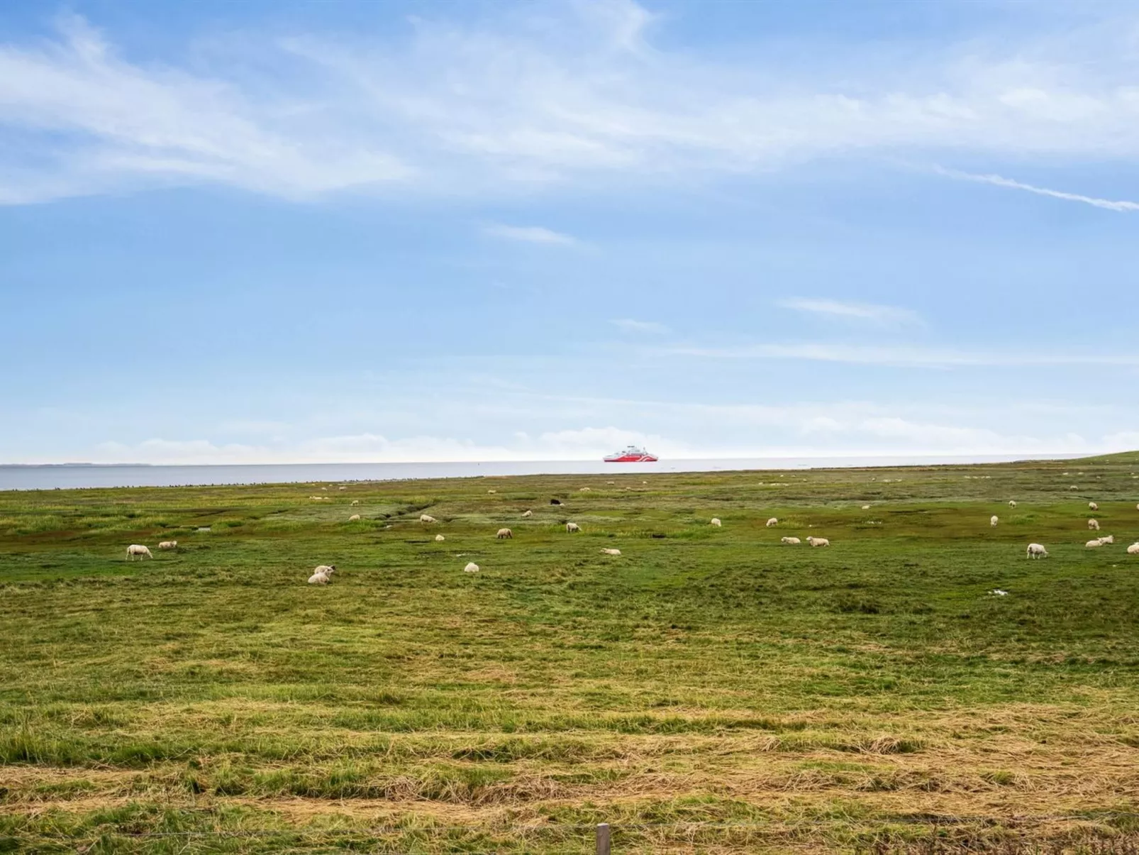 "Rohan" - 2.2km from the sea-Drinnen