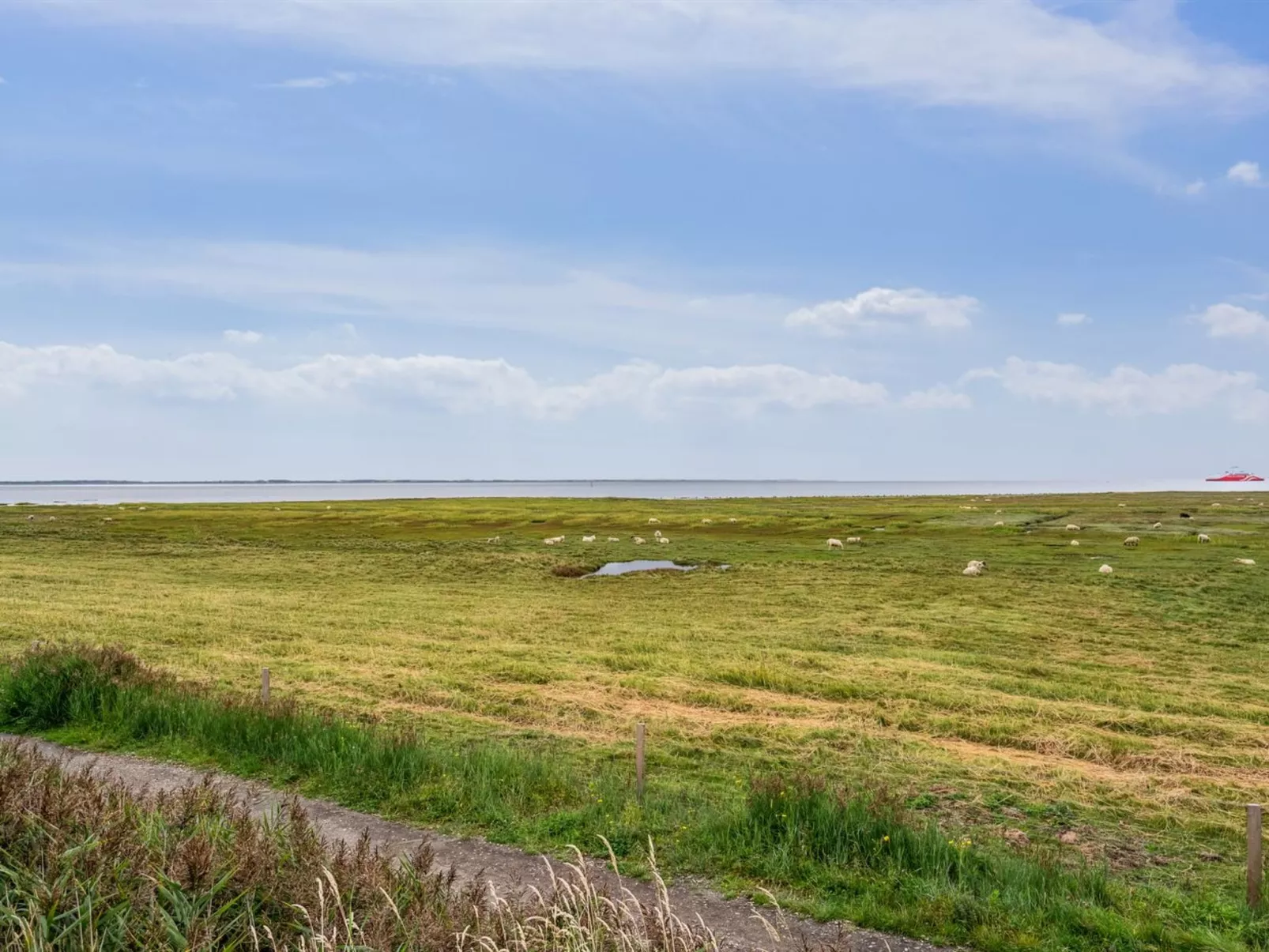 "Rohan" - 2.2km from the sea-Draußen