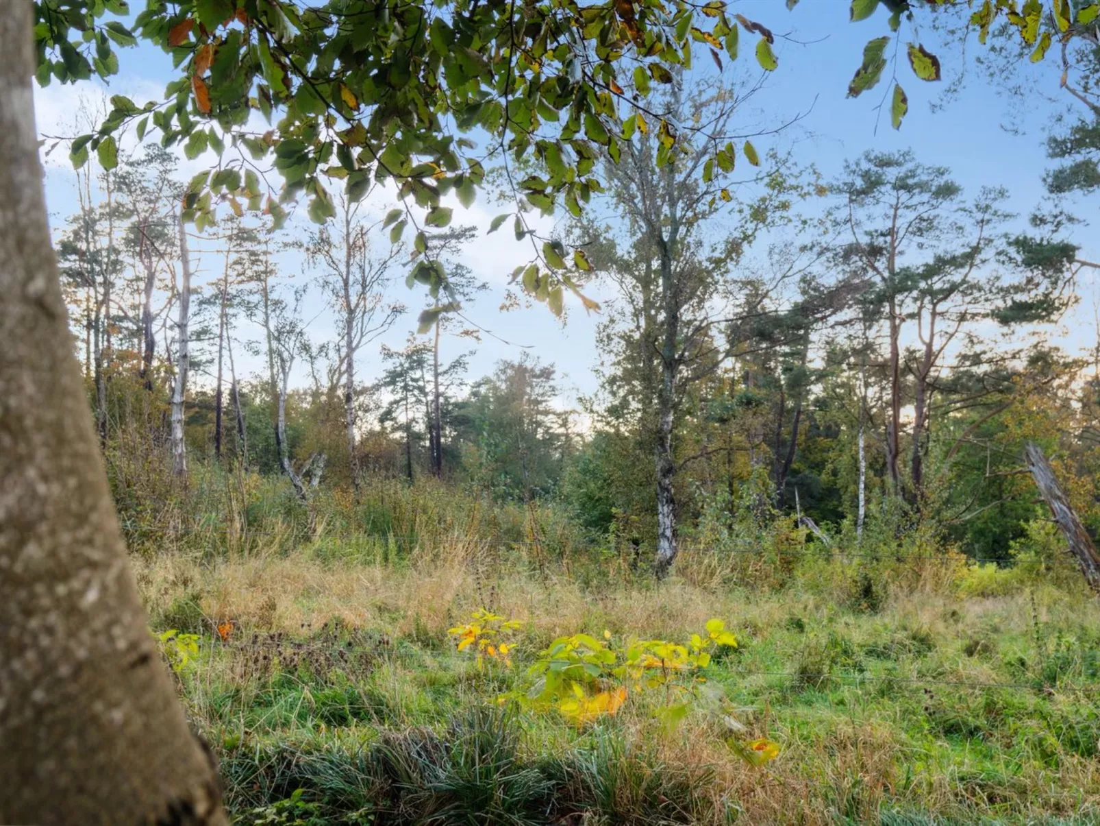 "Rami" - 2km from the sea-Draußen
