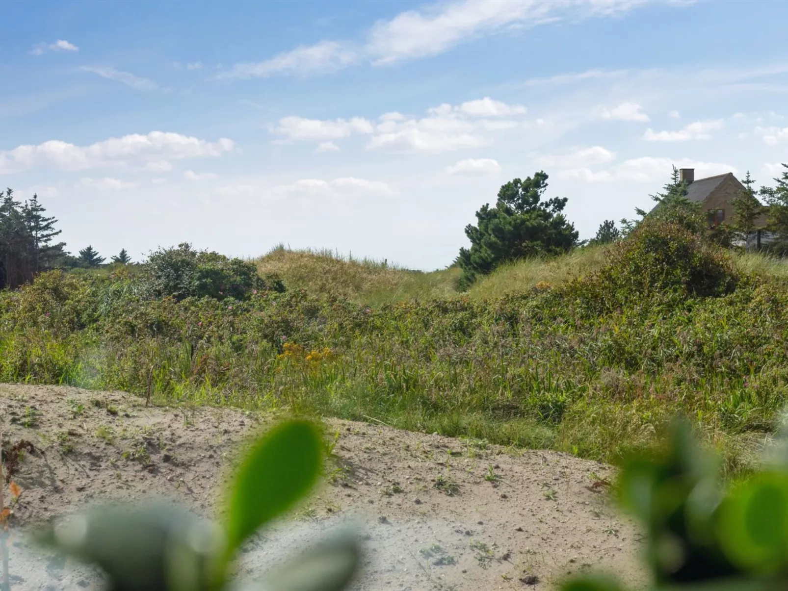 "Yakari" - 1km from the sea-Outside