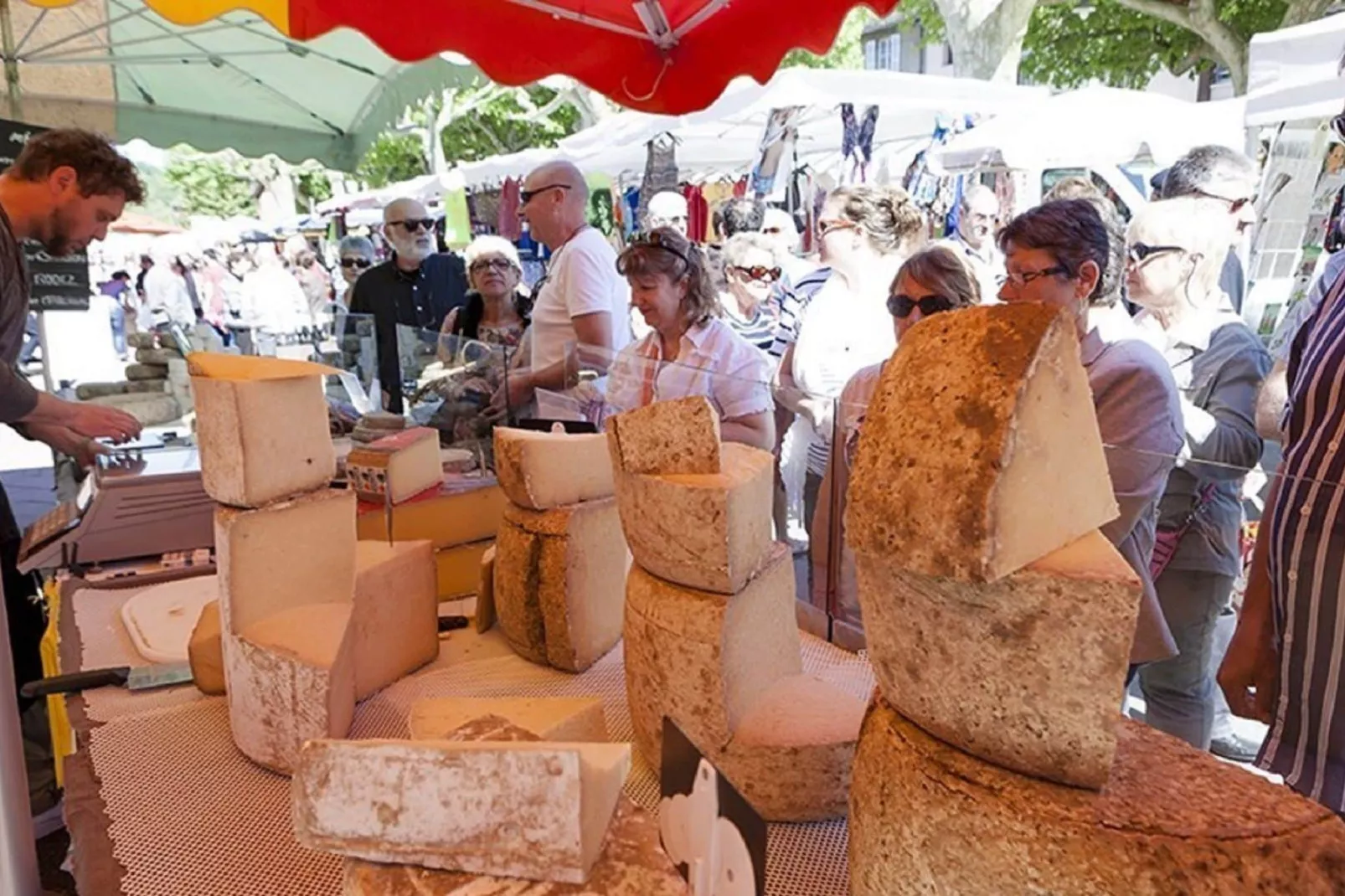 Maison de vacances - LUS-LA CROIX-HAUTE-Atmosphere