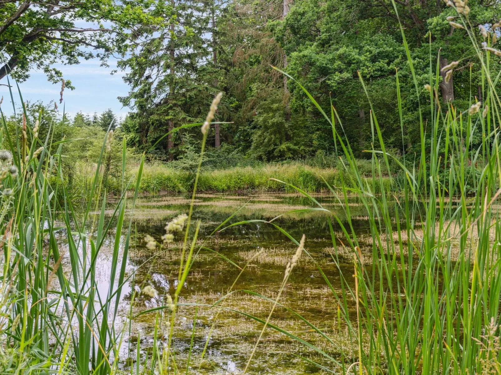 "Nell" - 3.2km to the inlet-Outside