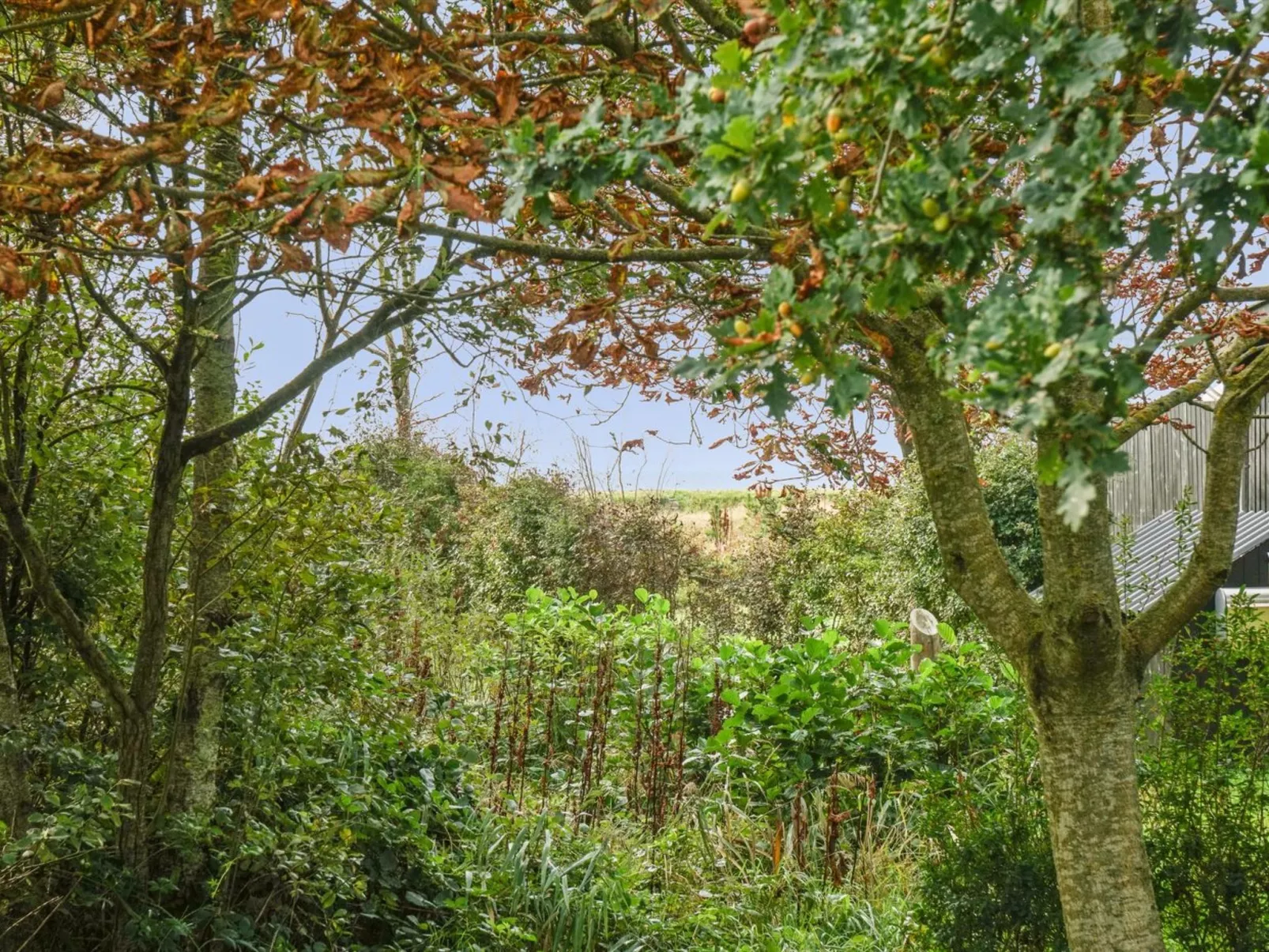 "Aike" - 100m to the inlet-Inside