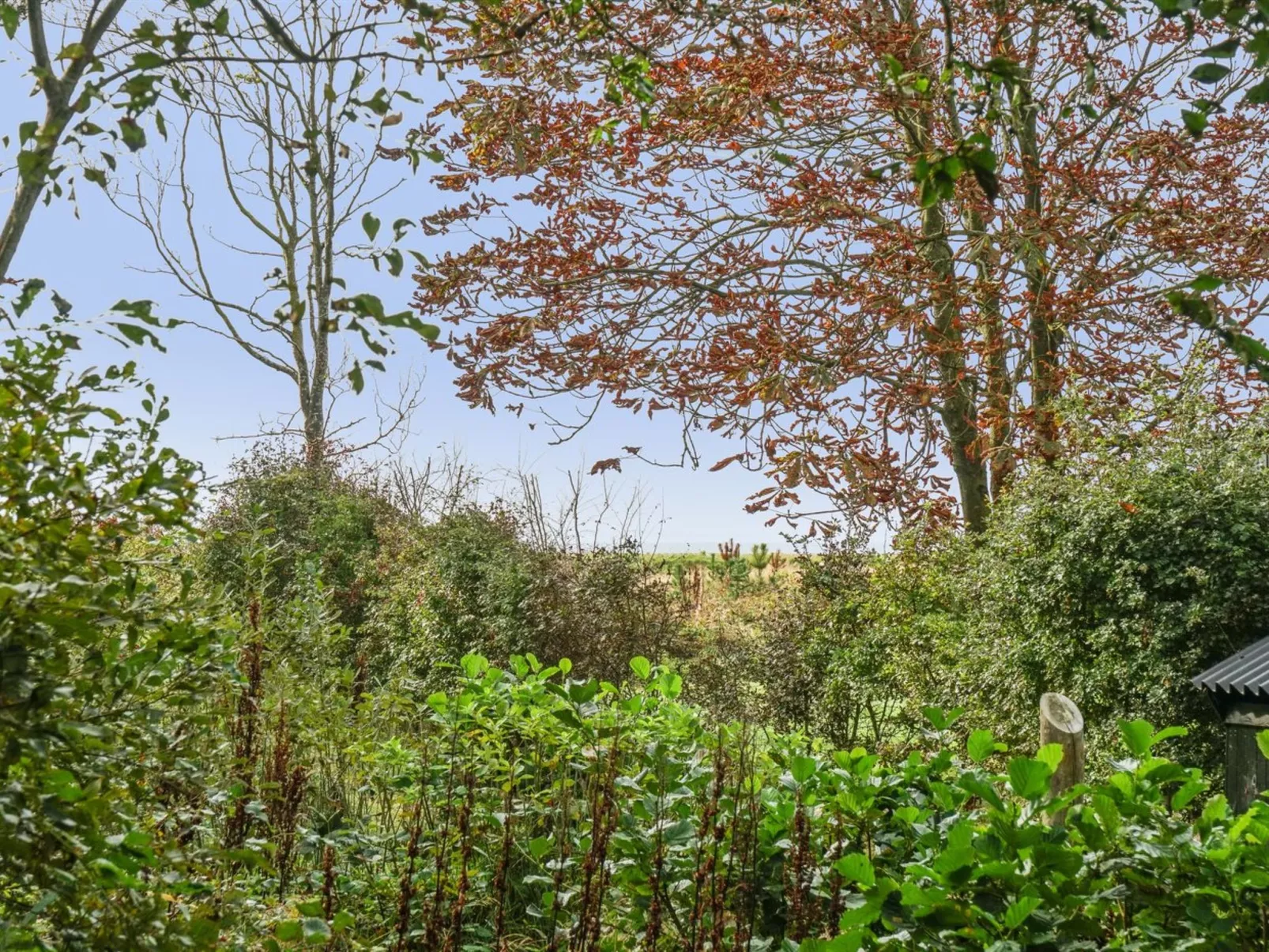 "Aike" - 100m to the inlet-Inside