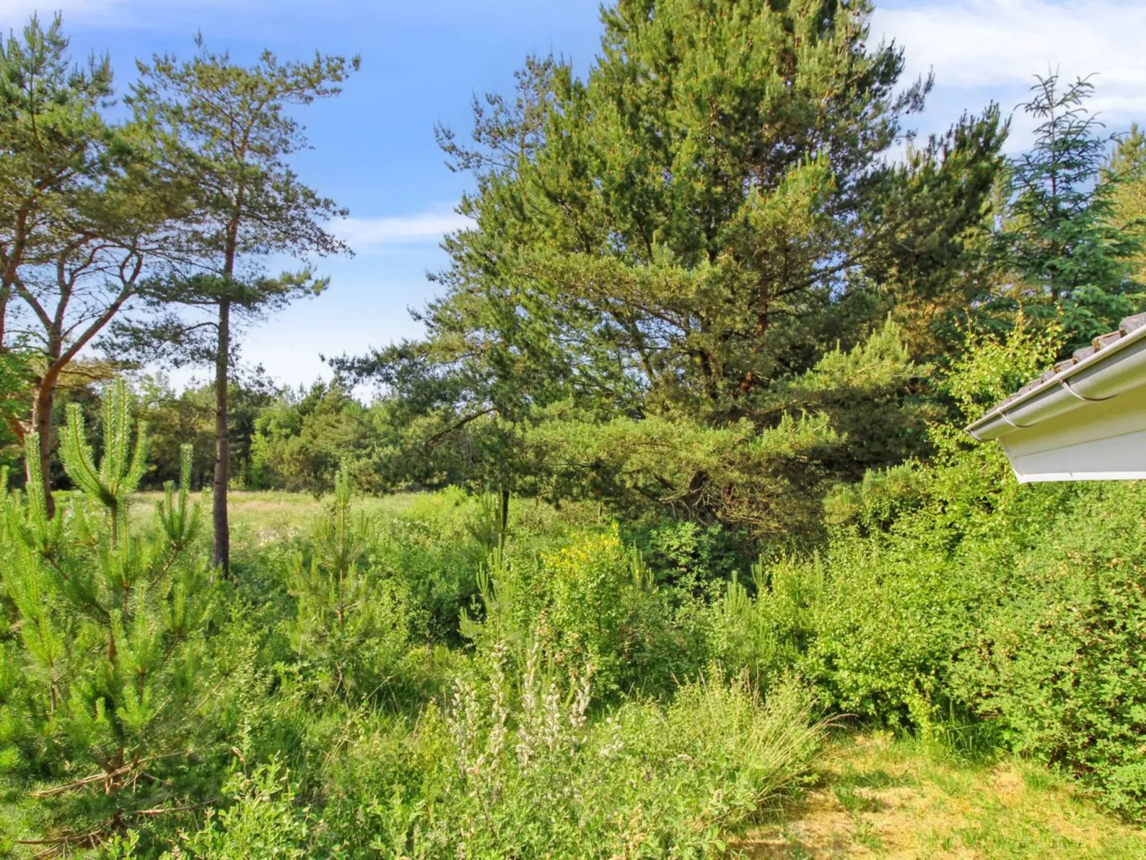 "Arlett" - 950m from the sea-Outside
