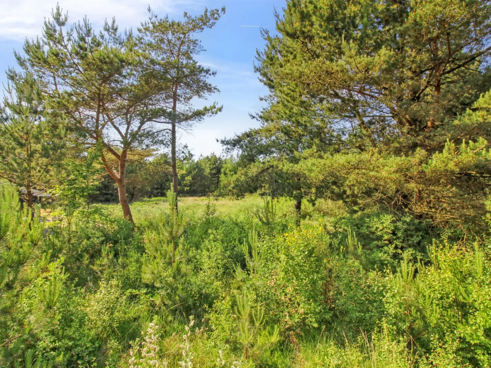 "Arlett" - 950m from the sea-Outside